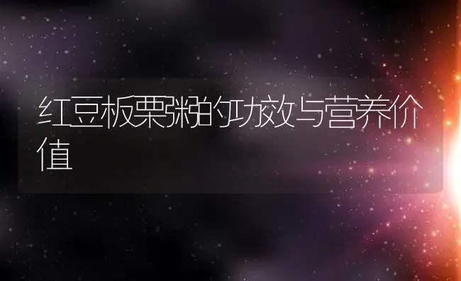红豆板栗粥的功效与营养价值 | 养殖资讯