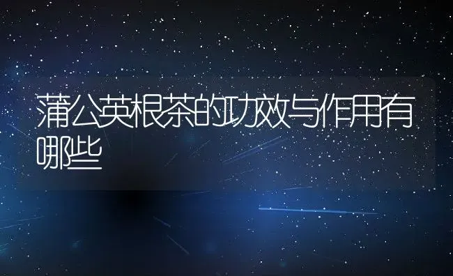 野山枣泡水喝的功效 野山枣泡水喝有什么好处 | 养殖资料投稿