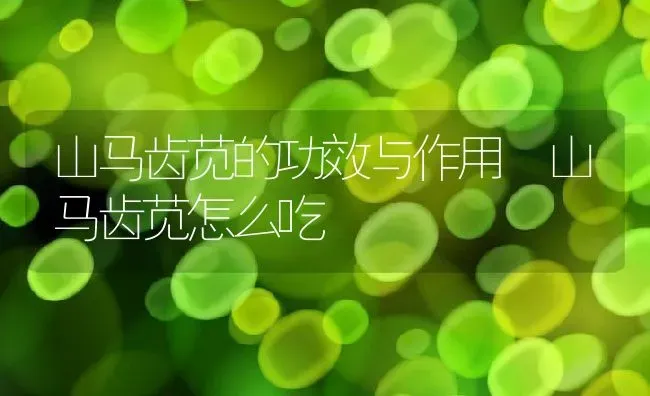 山马齿苋的功效与作用 山马齿苋怎么吃 | 养殖资料投稿