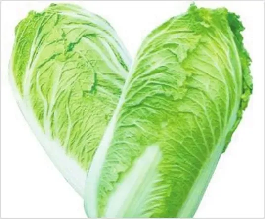 2020白菜最新价格多少钱一斤？种植白菜会赚钱吗 | 致富养殖项目