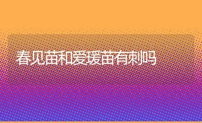 春见苗和爱瑗苗有刺吗 | 养殖资讯