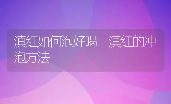 滇红如何泡好喝 滇红的冲泡方法 | 养殖资料投稿