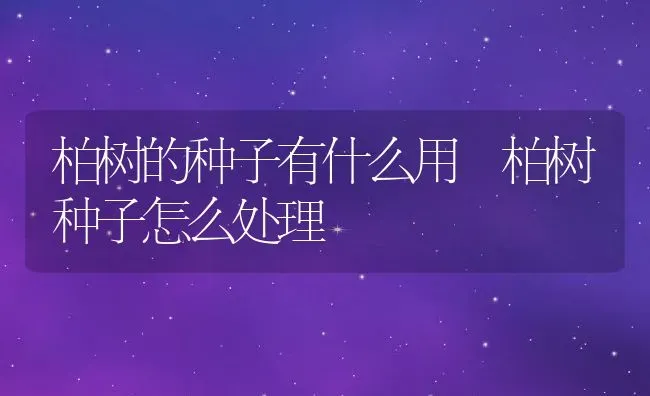 柏树的种子有什么用 柏树种子怎么处理 | 养殖资料投稿