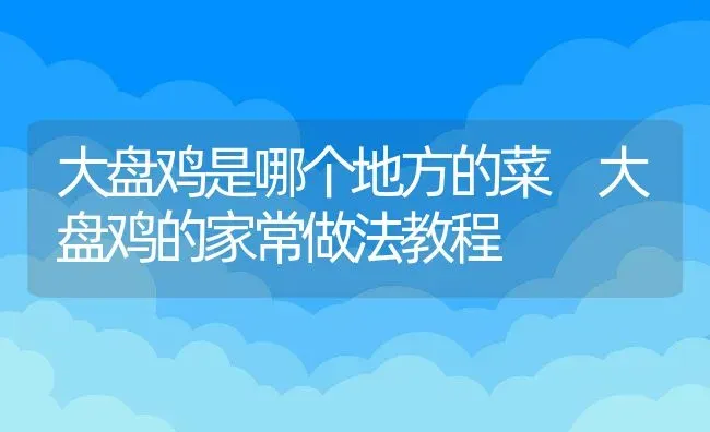 大盘鸡是哪个地方的菜 大盘鸡的家常做法教程 | 养殖资料投稿