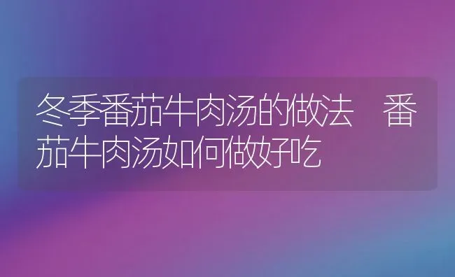 冬季番茄牛肉汤的做法 番茄牛肉汤如何做好吃 | 养殖资料投稿