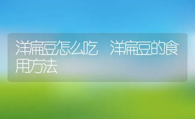 天麻搭配三七的好处有哪些 | 养殖资料投稿