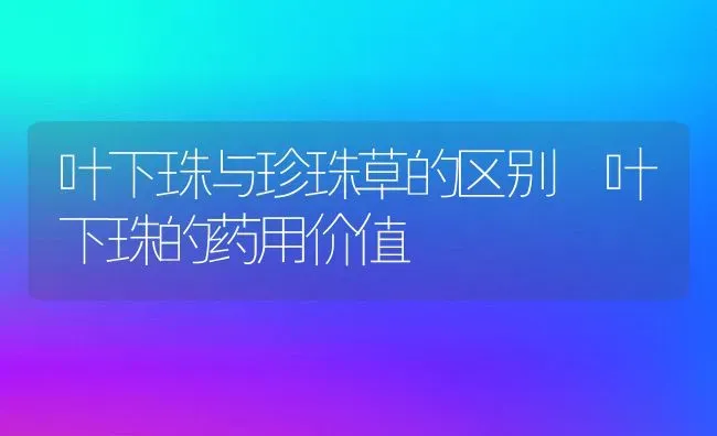 叶下珠与珍珠草的区别 叶下珠的药用价值 | 养殖资料投稿