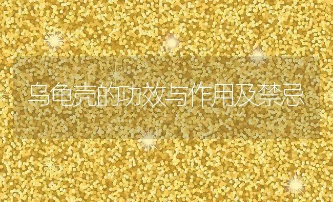 乌龟壳的功效与作用及禁忌 | 养殖资料投稿
