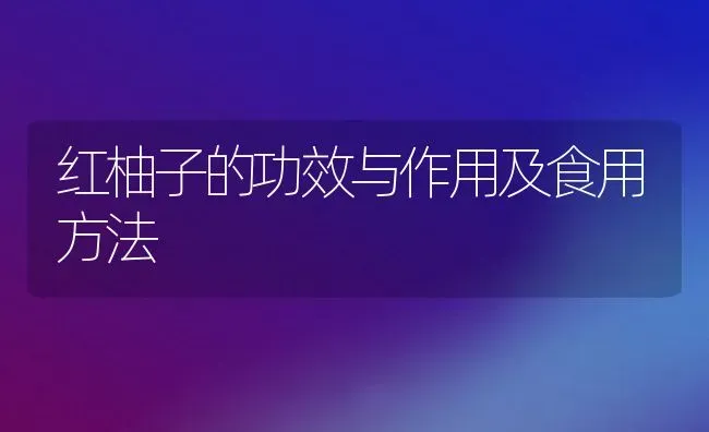 红柚子的功效与作用及食用方法 | 养殖资料投稿