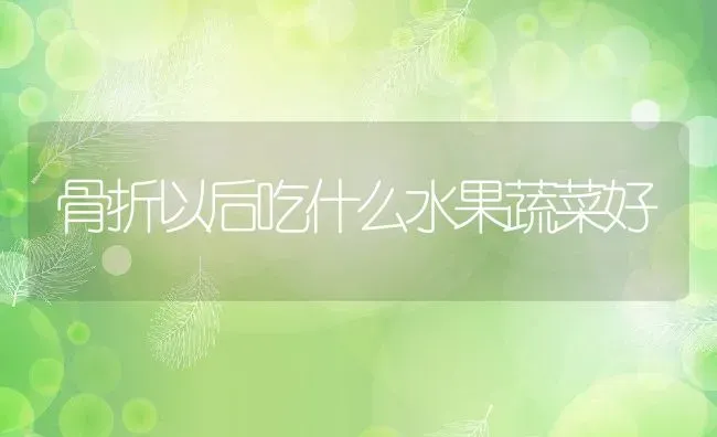 骨折以后吃什么水果蔬菜好 | 养殖资料投稿