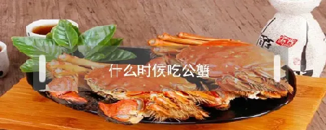 什么时候吃公蟹