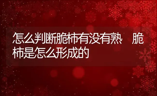 怎么判断脆柿有没有熟 脆柿是怎么形成的 | 养殖资料投稿