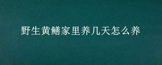 野生黄鳝家里养几天怎么养