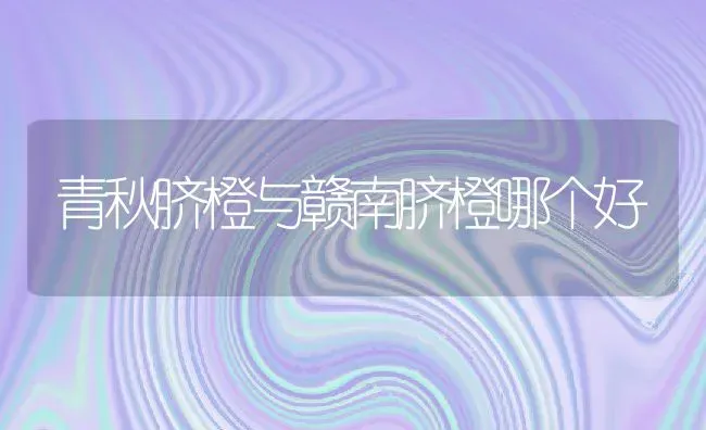 青秋脐橙与赣南脐橙哪个好 | 养殖资讯