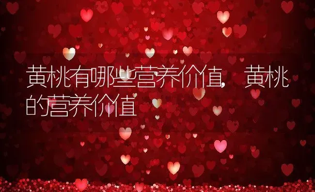 黄桃有哪些营养价值,黄桃的营养价值 | 养殖资料投稿