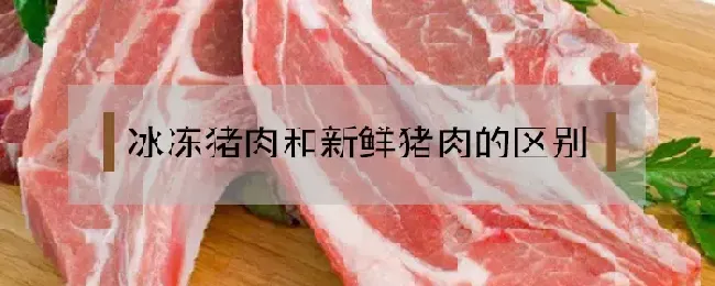 冰冻猪肉和新鲜猪肉的区别是什么？