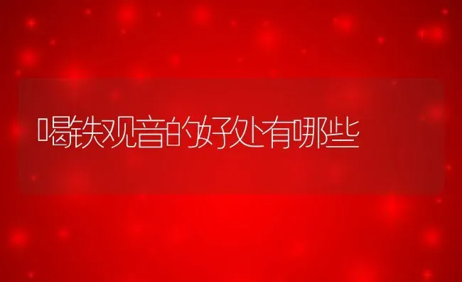 喝铁观音的好处有哪些 | 养殖资料投稿