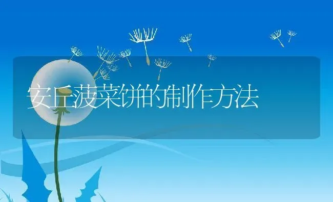安丘菠菜饼的制作方法 | 养殖资料投稿