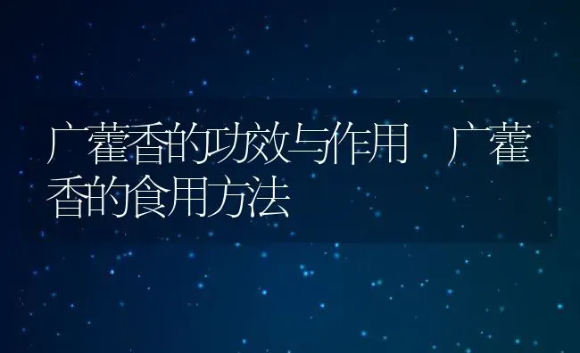 广藿香的功效与作用 广藿香的食用方法 | 养殖资料投稿