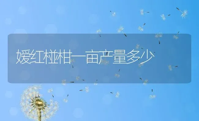 嫒红椪柑一亩产量多少 | 养殖资讯