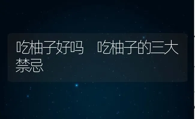 血珊瑚草怎么吃 血珊瑚草的做法教程 | 养殖资料投稿