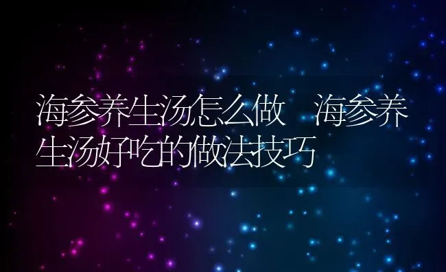 海参养生汤怎么做 海参养生汤好吃的做法技巧 | 养殖资料投稿