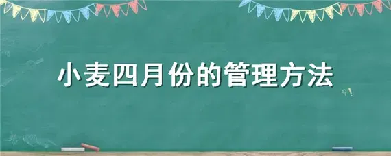 小麦四月份的管理方法