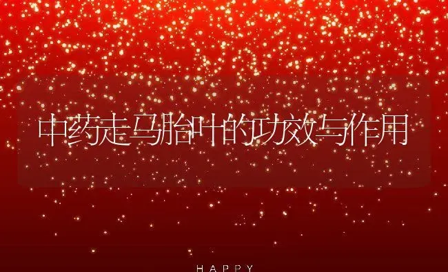 中药走马胎叶的功效与作用 | 养殖资料投稿