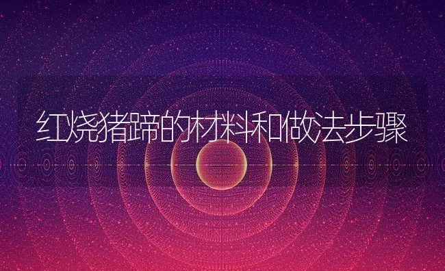 红烧猪蹄的材料和做法步骤 | 养殖资料投稿