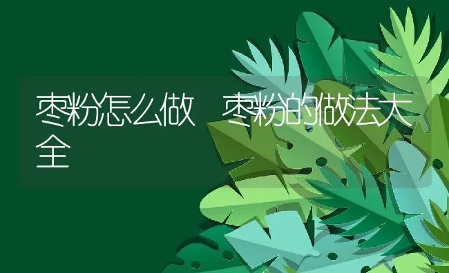 枣粉怎么做 枣粉的做法大全 | 养殖资料投稿