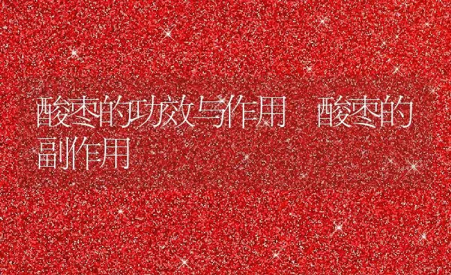 酸枣的功效与作用 酸枣的副作用 | 养殖资料投稿