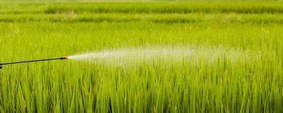 虾稻田用什么杀虫剂