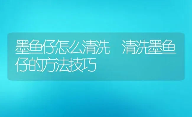 墨鱼仔怎么清洗 清洗墨鱼仔的方法技巧 | 养殖资料投稿