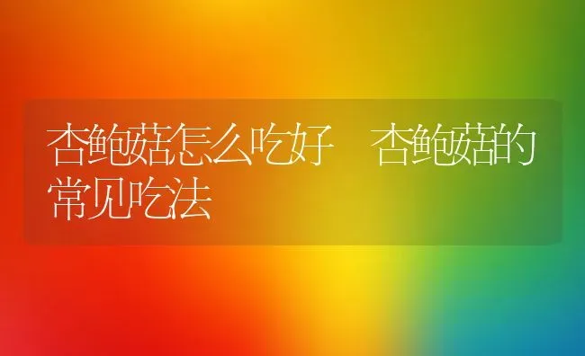 杏鲍菇怎么吃好 杏鲍菇的常见吃法 | 养殖资料投稿