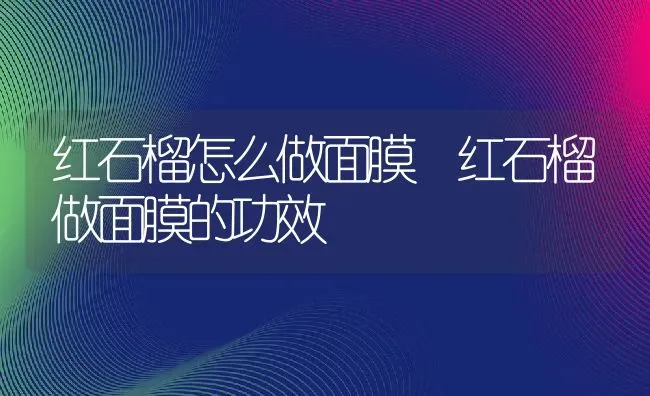 红石榴怎么做面膜 红石榴做面膜的功效 | 养殖资料投稿