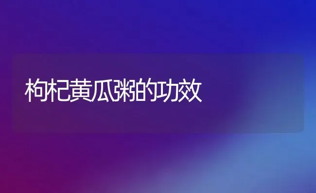 枸杞黄瓜粥的功效 | 养殖资料投稿