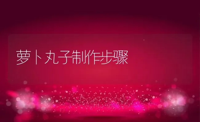 萝卜丸子制作步骤 | 养殖资料投稿