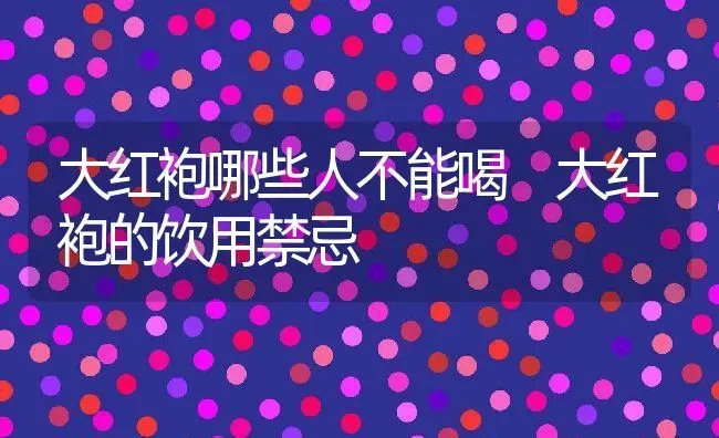 大红袍哪些人不能喝 大红袍的饮用禁忌 | 养殖资料投稿
