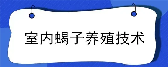 室内蝎子养殖技术