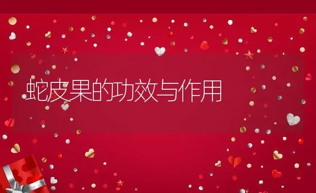 蛇皮果的功效与作用 | 养殖资料投稿