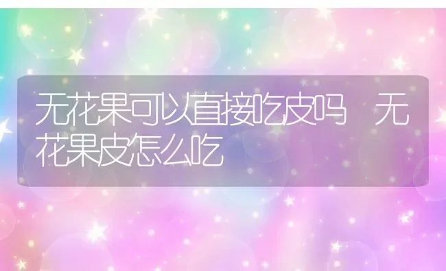 无花果可以直接吃皮吗 无花果皮怎么吃 | 养殖资料投稿