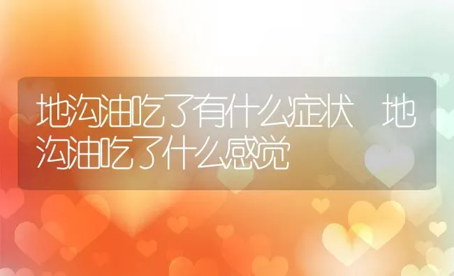 地沟油吃了有什么症状 地沟油吃了什么感觉 | 养殖资料投稿
