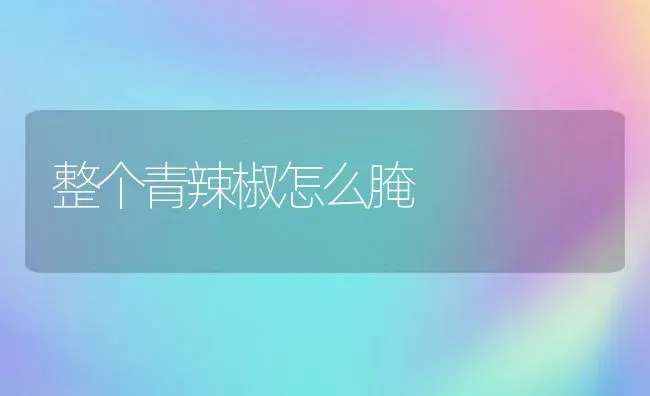 整个青辣椒怎么腌 | 养殖资料投稿