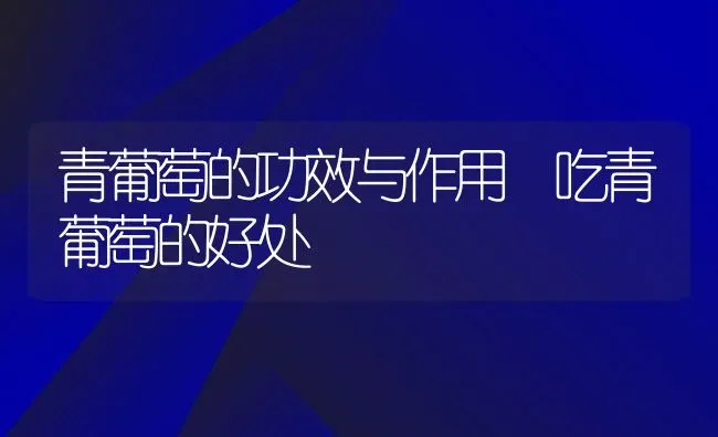 青葡萄的功效与作用 吃青葡萄的好处 | 养殖资料投稿