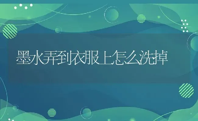 墨水弄到衣服上怎么洗掉 | 养殖资料投稿