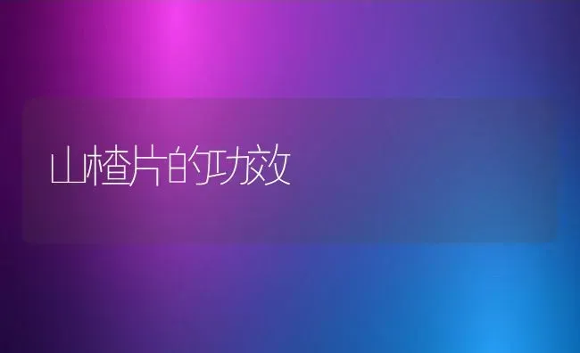 山楂片的功效 | 养殖资料投稿