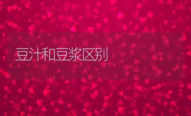 豆汁和豆浆区别 | 养殖资讯