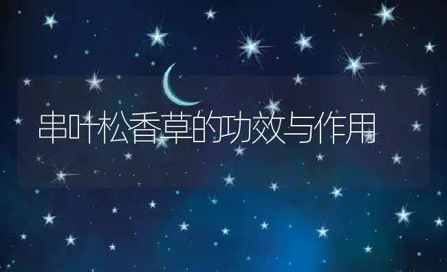串叶松香草的功效与作用 | 养殖资料投稿