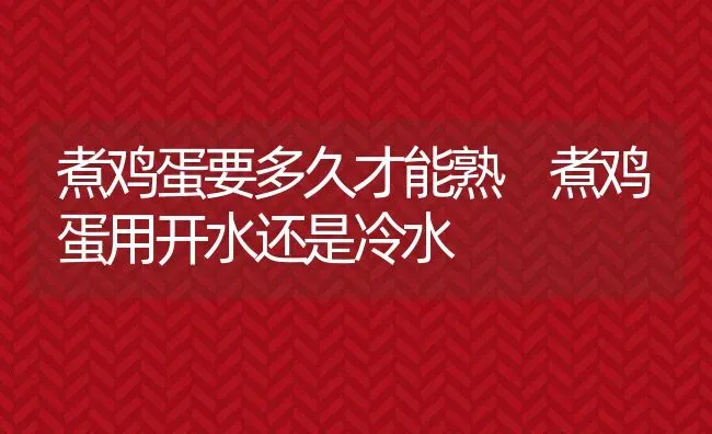 煮鸡蛋要多久才能熟 煮鸡蛋用开水还是冷水 | 养殖资料投稿