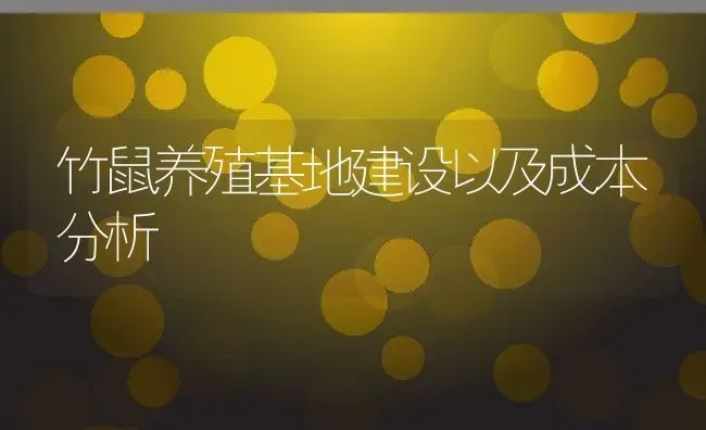 竹鼠养殖基地建设以及成本分析 | 养殖资讯